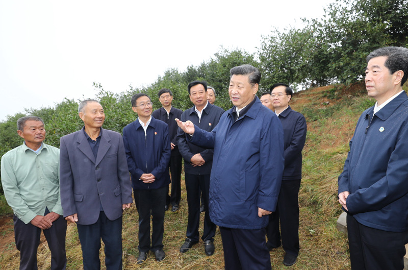 　　9月16日至18日，中共中央總書記、國家主席、中央軍委主席習近平在河南考察。這是17日上午，習近平來到信陽市光山縣槐店鄉司馬光油茶園，同正在勞作的村民和管理人員交流。 新華社記者 鞠鵬 攝